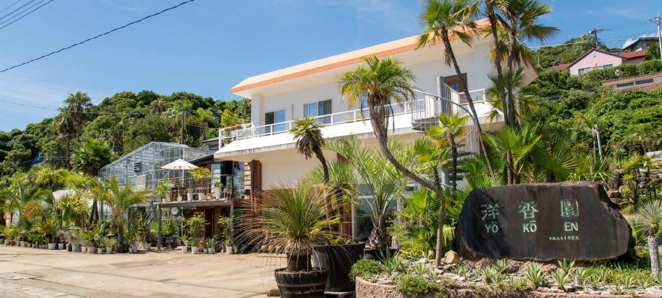 Wide view of Yokoen's nursery along the Nichinan coast