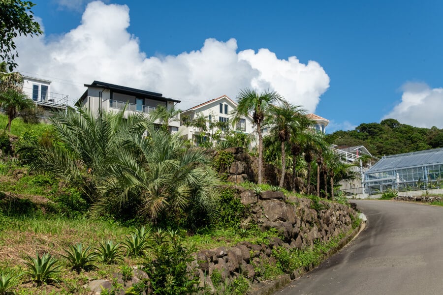 Local surroundings visible from the land