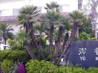 チャメロップス