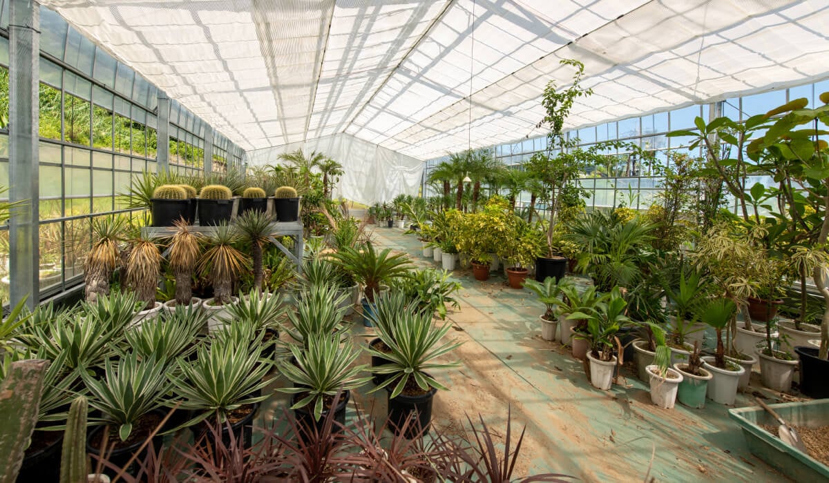 Nursery zone managing potted plants and field-grown stock