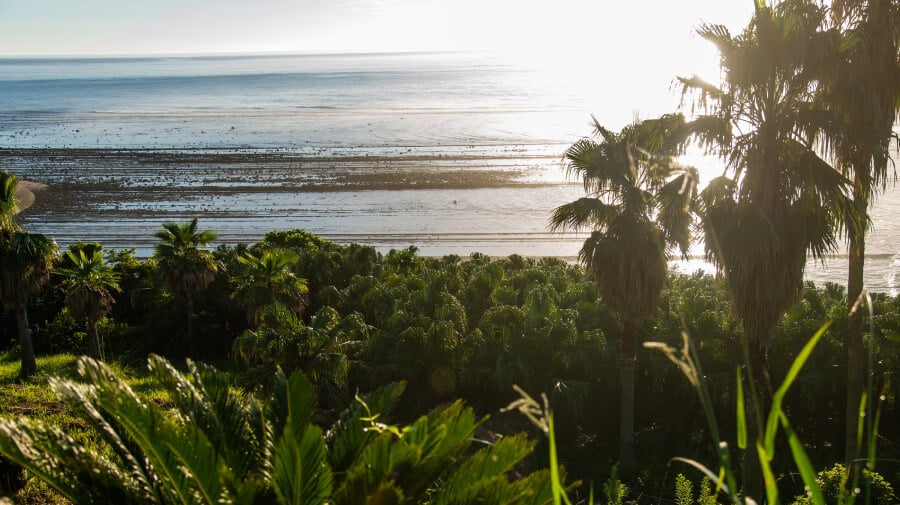 Outdoor stock yard used to inspect and stage plant material