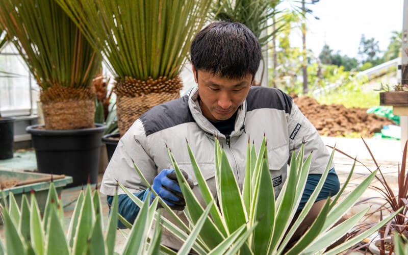 Organizing stock and checking plant condition