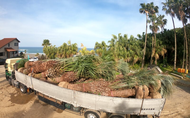 Inspection work before plant shipment