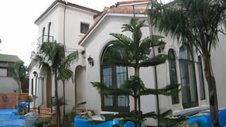 Private Gardens and Residences / Queen Palm #3