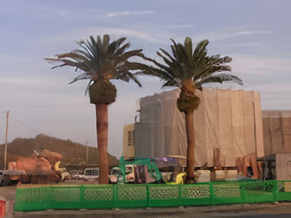 Commercial and Public Spaces / Delivery Example #3