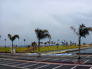 宮崎臨海公園