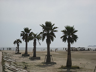 海浜公園