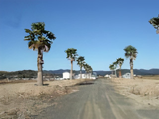 キャンプ場（三重県）