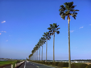 バイパス（宮崎県）