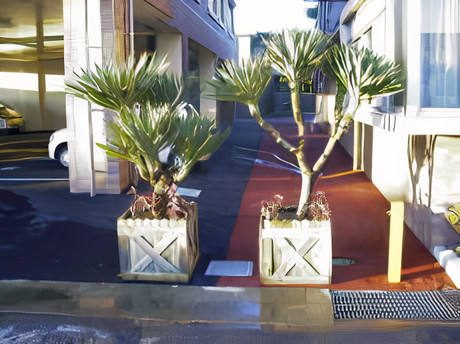 Large Container Planting Examples / Delivery Example #6