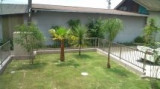 Private Gardens and Residences / Washingtonia + Queen Palm #4
