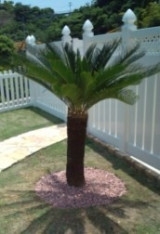 Private Gardens and Residences / Delivery Example #11