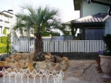 Private Gardens and Residences / Cocos Palm #13
