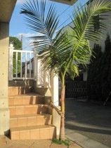 Private Gardens and Residences / Delivery Example #27