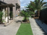 Private Gardens and Residences / Canary Palm #30