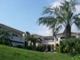 Private Gardens and Residences / Cocos Palm #33