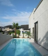 Private Gardens and Residences / Washingtonia + Cocos Palm #34