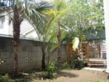 Private Gardens and Residences / Queen Palm + Kurotsugu Palm #37
