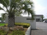 Private Gardens and Residences / Cocos Palm #38