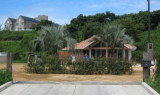 Private Gardens and Residences / Cocos Palm #41