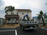 Private Gardens and Residences / Washingtonia + Queen Palm #43