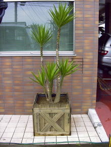 Large Container Planting Examples / Delivery Example #5